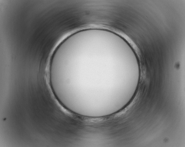 X0000102831294200808181040