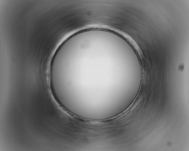 X0000102831295200808181040