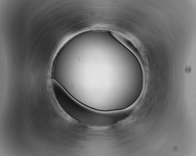 X0000102831296200808181040