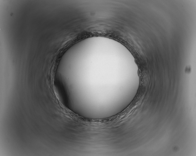 X0000102831297200808181039