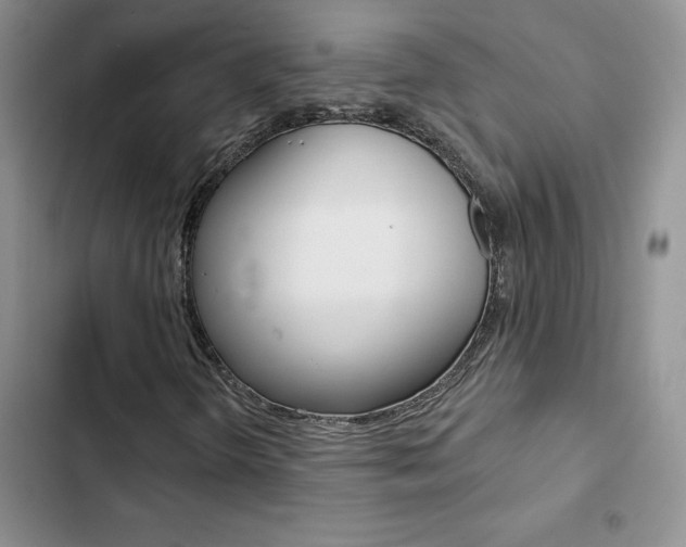 X0000102831298200808181040