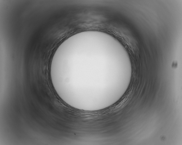 X0000102831300200808181040