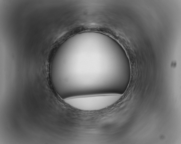 X0000102831301200808181040