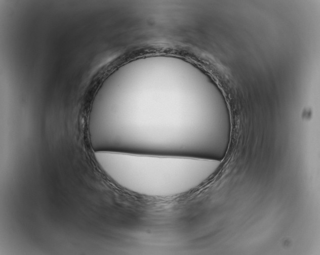 X0000102831302200808181040
