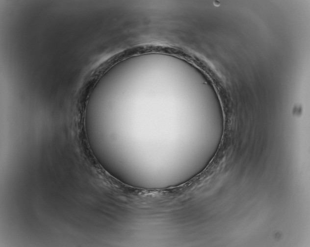 X0000102831303200808181040