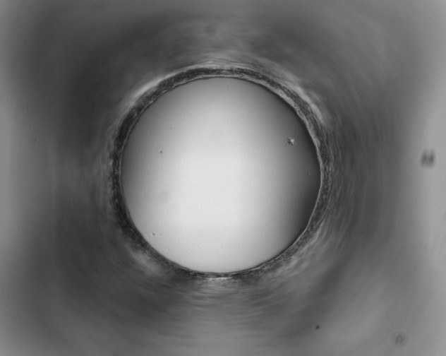 X0000102831304200808181040