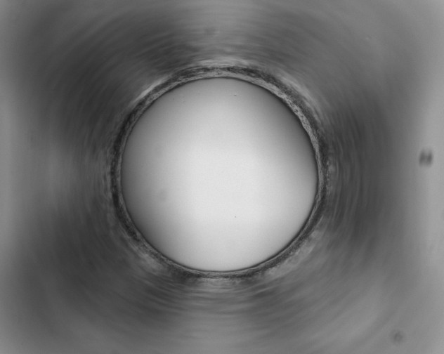 X0000102831305200808181040