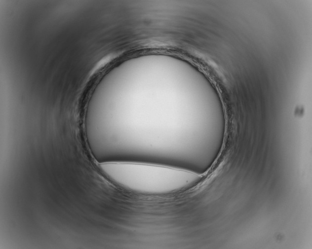 X0000102831306200808181040