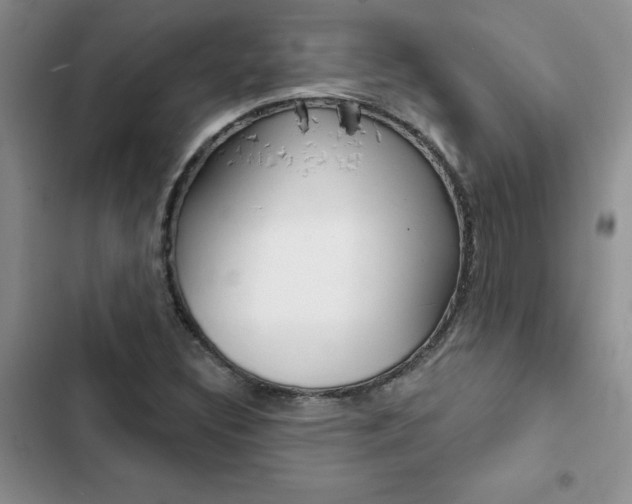 X0000102831308200808181040