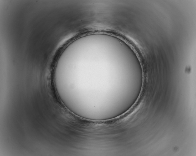X0000102831309200808181040