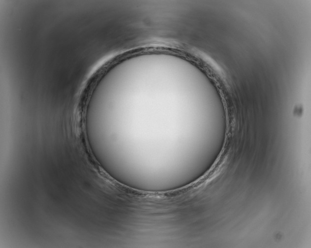 X0000102831310200808181040