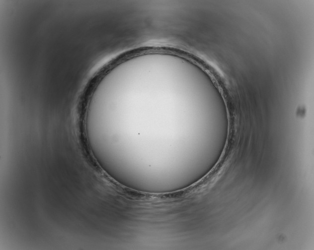 X0000102831311200808181040
