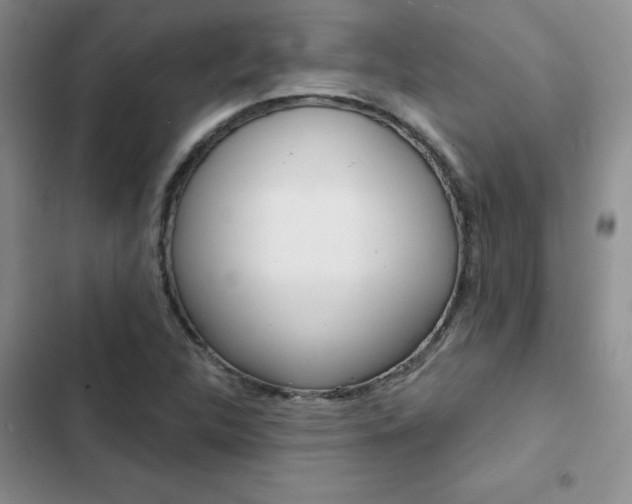 X0000102831312200808181040