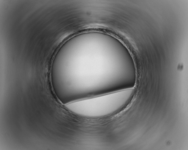 X0000102831313200808181040