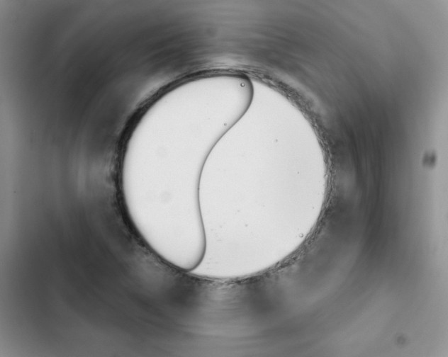 X0000102831314200808181040