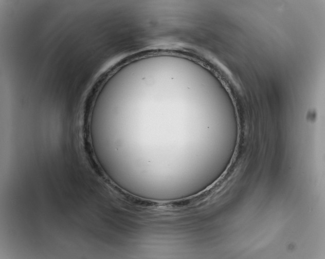 X0000102831315200808181040