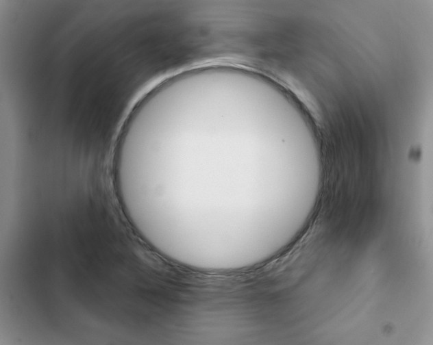 X0000102831316200808181040