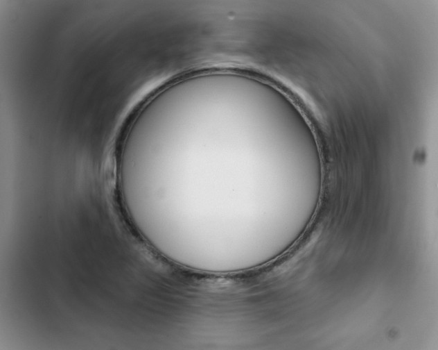 X0000102831317200808181040