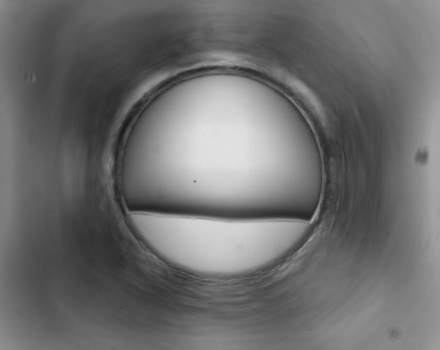 X0000102831318200808181040