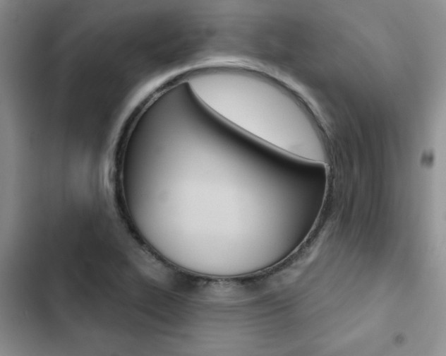 X0000102831319200808181040