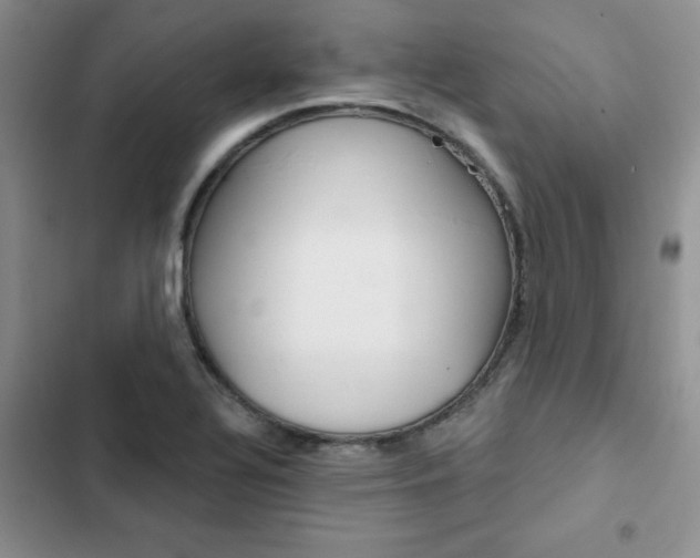X0000102831320200808181040