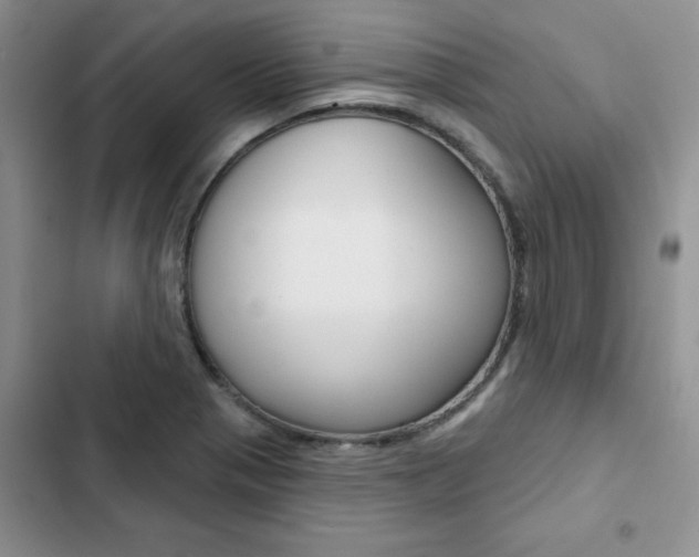 X0000102831321200808181040