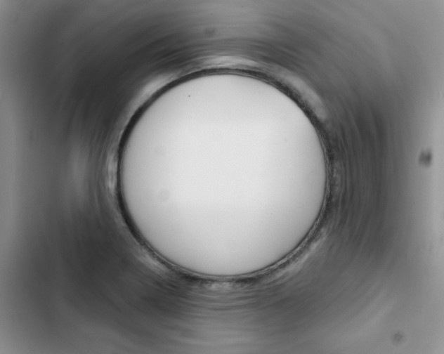 X0000102831322200808181040