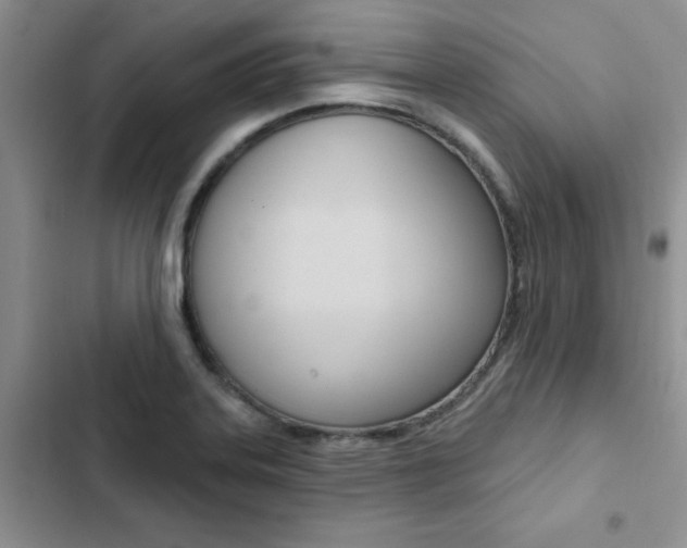X0000102831323200808181040