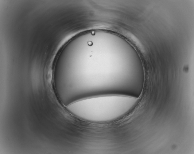 X0000102831324200808181040