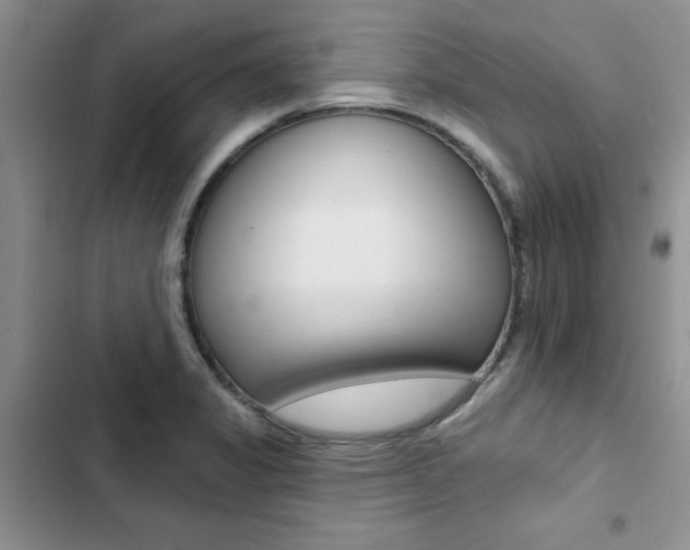 X0000102831325200808181040