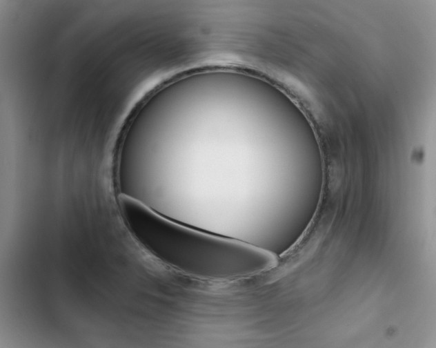 X0000102831326200808181040