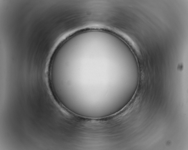X0000102831327200808181040
