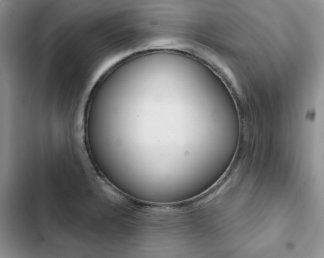 X0000102831328200808181040