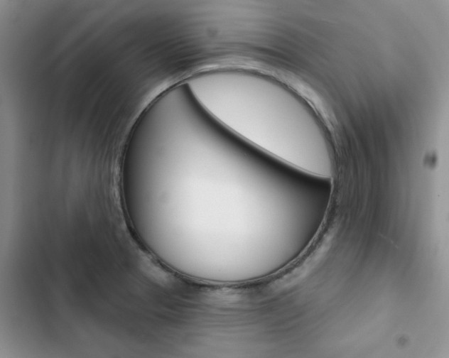 X0000102831329200808181040
