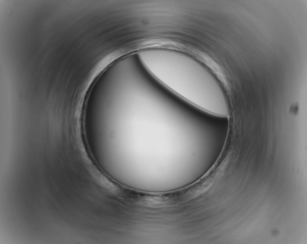 X0000102831330200808181040