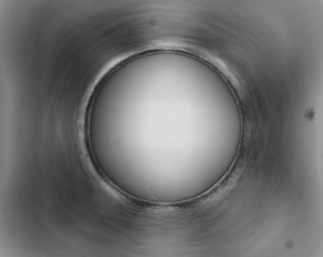 X0000102831331200808181040