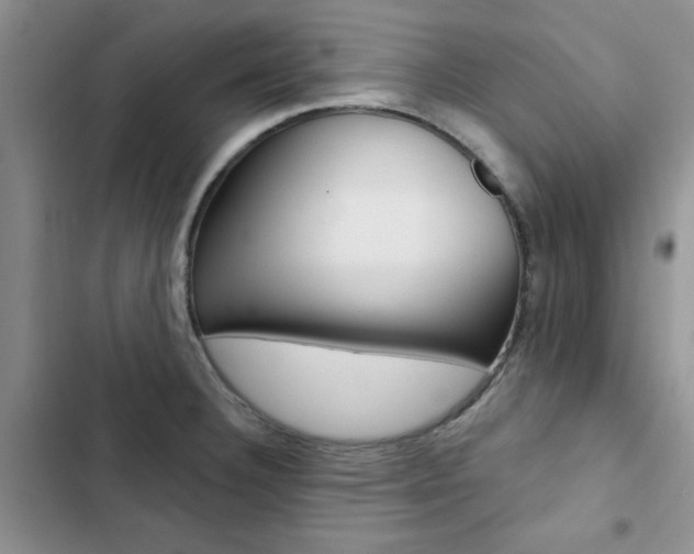 X0000102831332200808181040