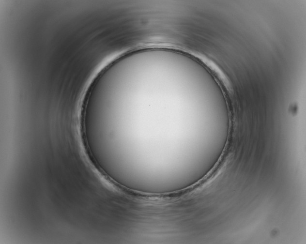 X0000102831333200808181040