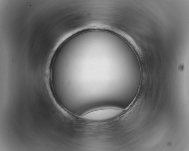X0000102831335200808181040