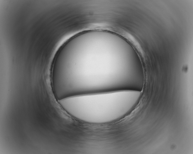 X0000102831336200808181040