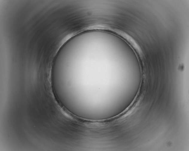 X0000102831337200808181040