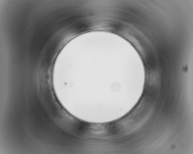 X0000102831338200808181040