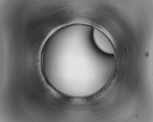 X0000102831339200808181040