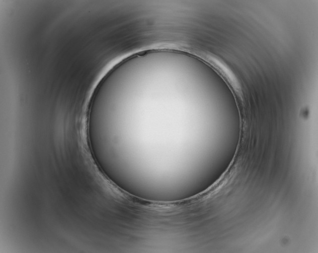 X0000102831340200808181040