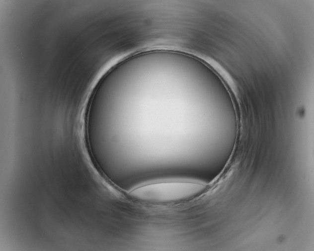 X0000102831341200808181040