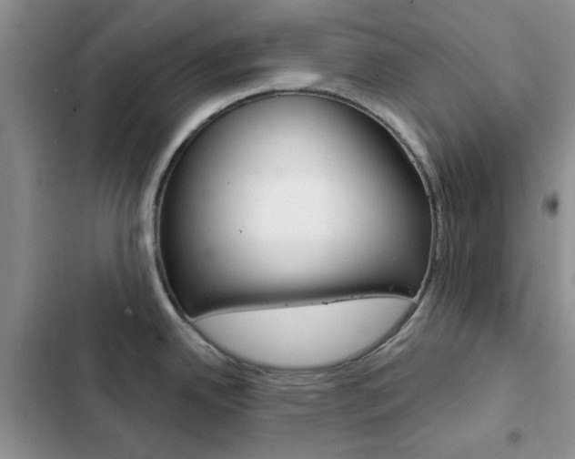 X0000102831342200808181040