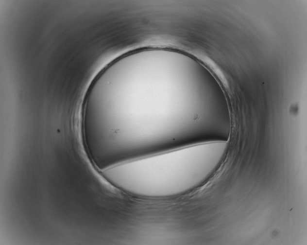 X0000102831343200808181040