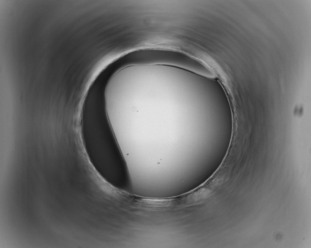 X0000102831344200808181040