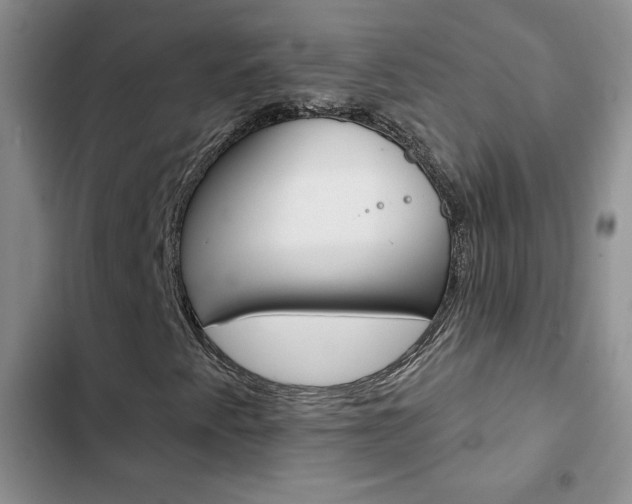 X0000102831345200808181039