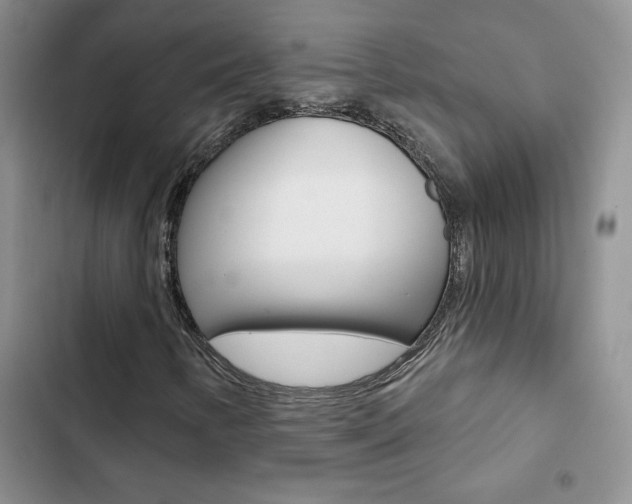 X0000102831346200808181039